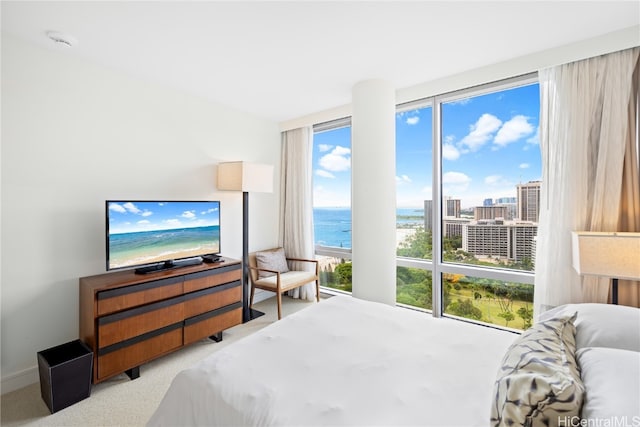 carpeted bedroom featuring multiple windows