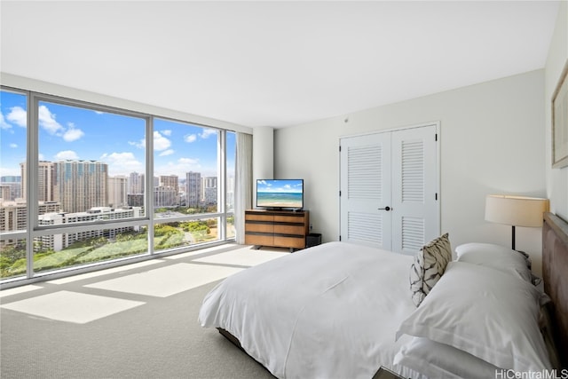 carpeted bedroom with expansive windows and a closet