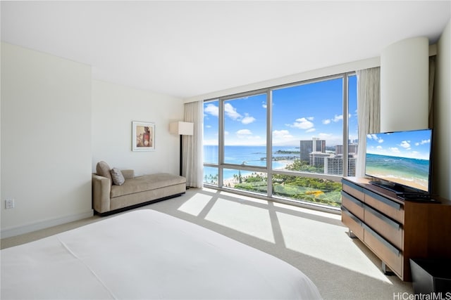 carpeted bedroom with a wall of windows and multiple windows