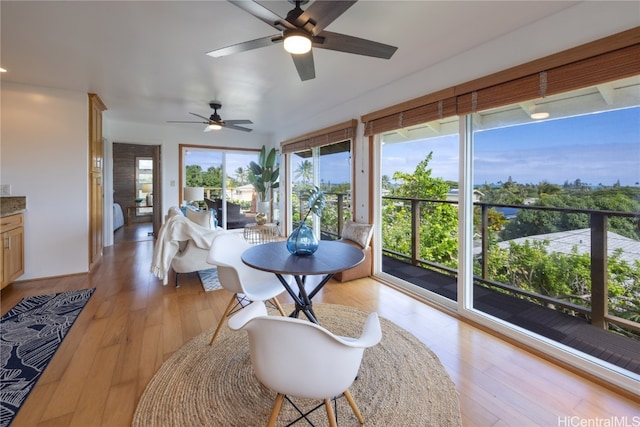 sunroom with ceiling fan