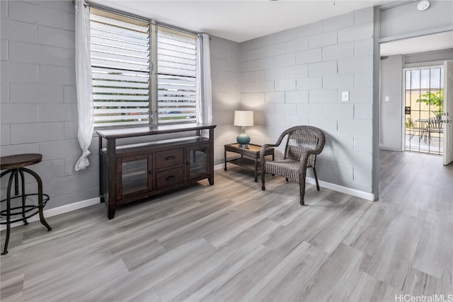 living area featuring light hardwood / wood-style floors