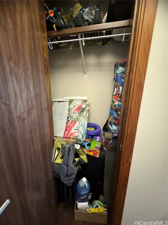 view of closet