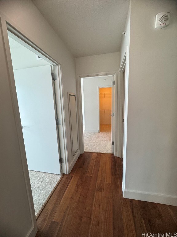 corridor with dark hardwood / wood-style floors