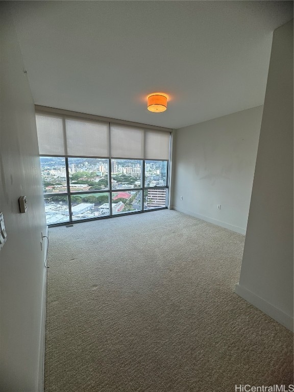 spare room featuring carpet floors