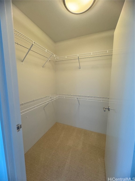 spacious closet featuring carpet floors