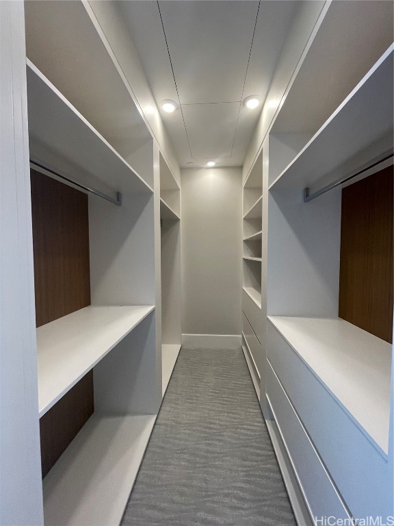 spacious closet with dark colored carpet