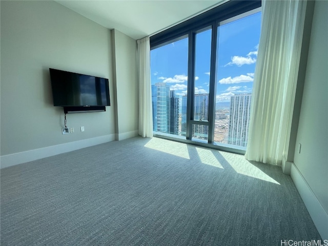 unfurnished living room with a wall of windows, carpet floors, and a healthy amount of sunlight