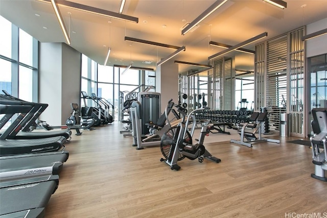 exercise room featuring wood-type flooring, a towering ceiling, and floor to ceiling windows