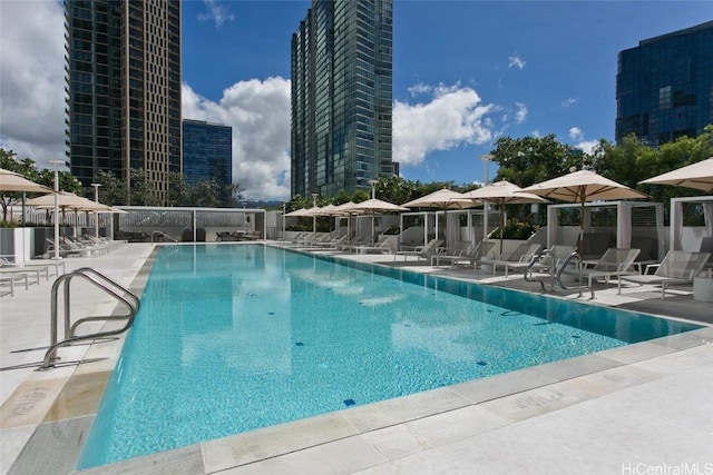 view of pool with a patio area