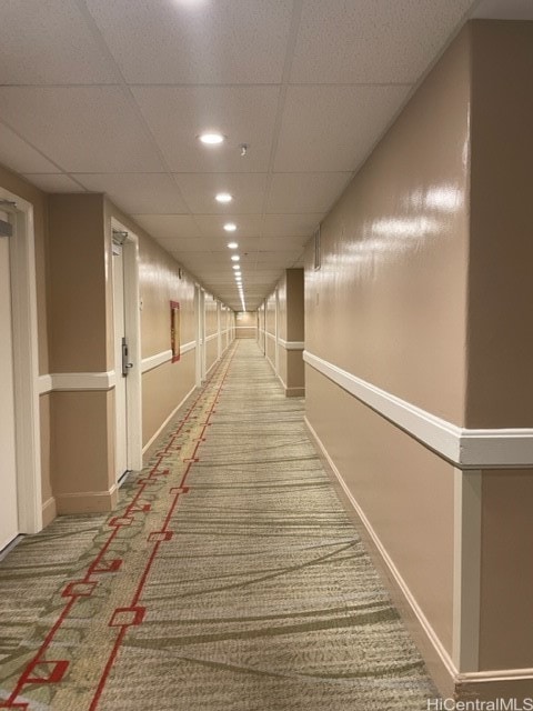 hall featuring carpet floors and a drop ceiling