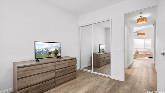 bedroom featuring wood-type flooring and a closet