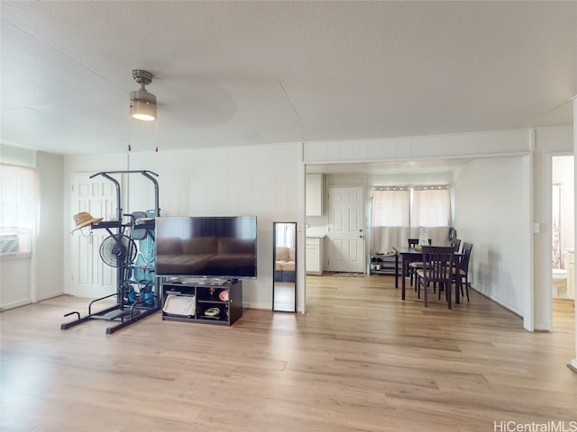 workout room featuring light hardwood / wood-style flooring and a healthy amount of sunlight