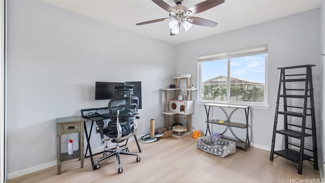 office featuring light hardwood / wood-style flooring and ceiling fan