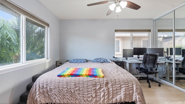 bedroom with ceiling fan, a closet, and light wood-type flooring