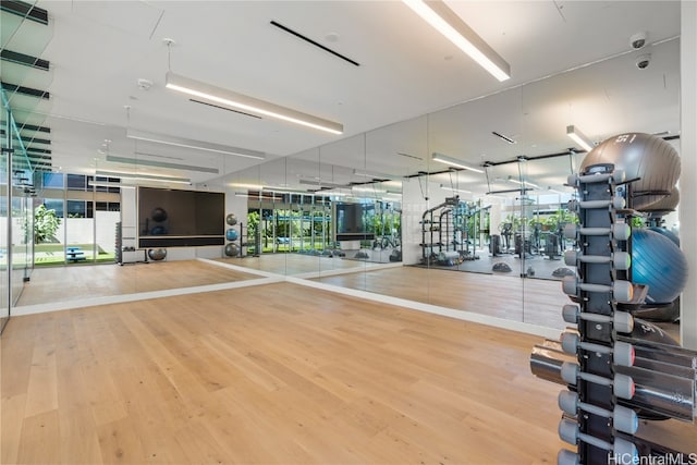 gym featuring hardwood / wood-style flooring, expansive windows, and a healthy amount of sunlight