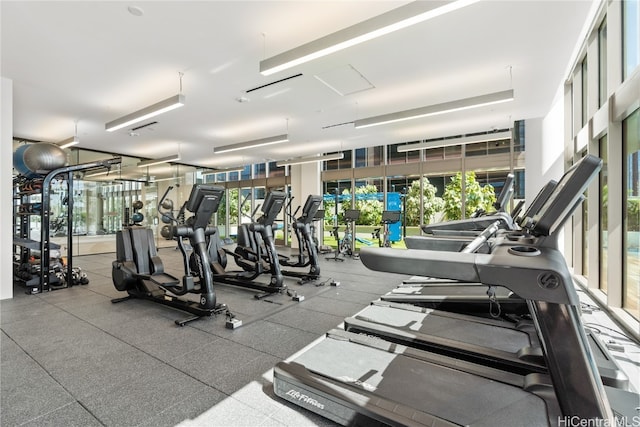 workout area featuring a healthy amount of sunlight