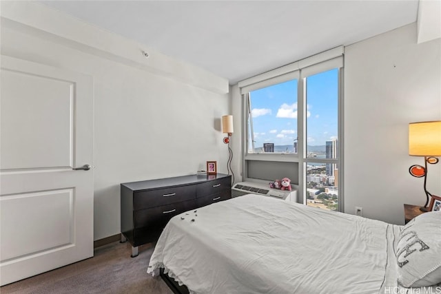 bedroom with carpet floors