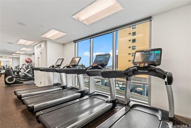 exercise room featuring a wall of windows