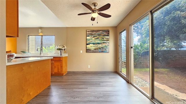 kitchen featuring a textured ceiling, light hardwood / wood-style floors, and a wealth of natural light