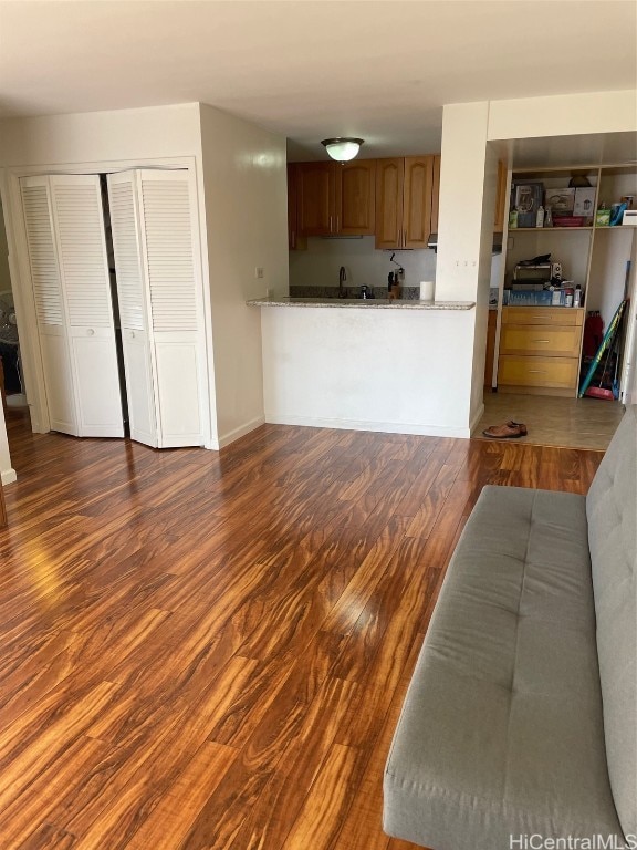 living room with sink and dark wood-type flooring