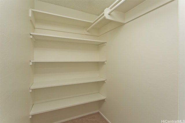 spacious closet featuring carpet floors