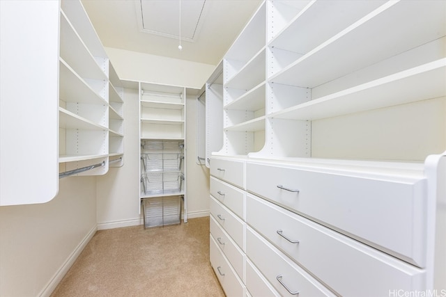 spacious closet featuring light carpet