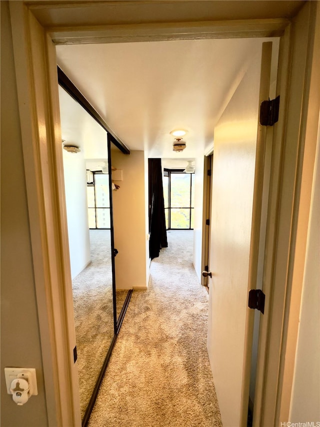 60 N Beretania St Unit 3105, Honolulu, HI 96817 - photo 12