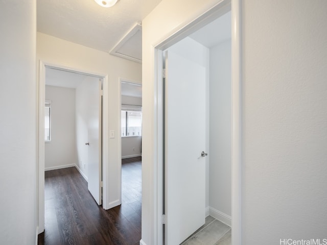 corridor with dark hardwood / wood-style flooring