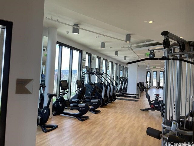 workout area with light hardwood / wood-style floors and a healthy amount of sunlight