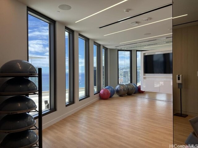 workout room featuring a wall of windows, a water view, and light wood-type flooring