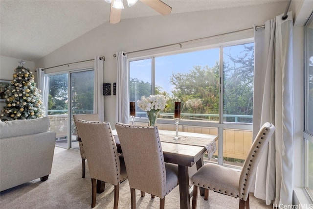 carpeted dining area featuring a textured ceiling, a wealth of natural light, ceiling fan, and vaulted ceiling