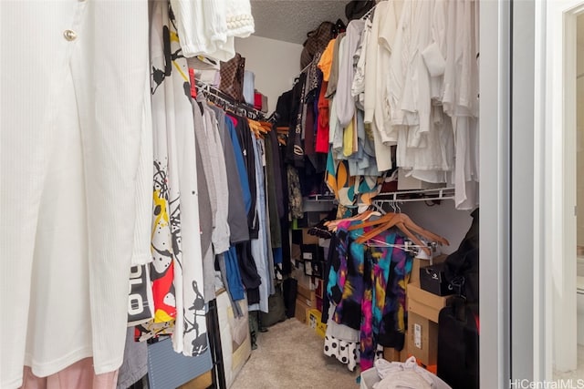 spacious closet featuring light colored carpet