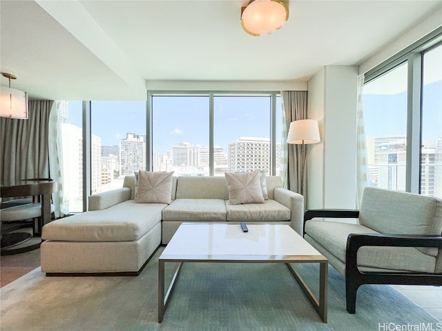 living room featuring a wealth of natural light and a wall of windows