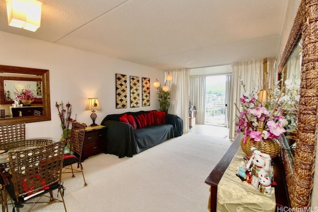 bedroom featuring carpet, access to outside, and a textured ceiling