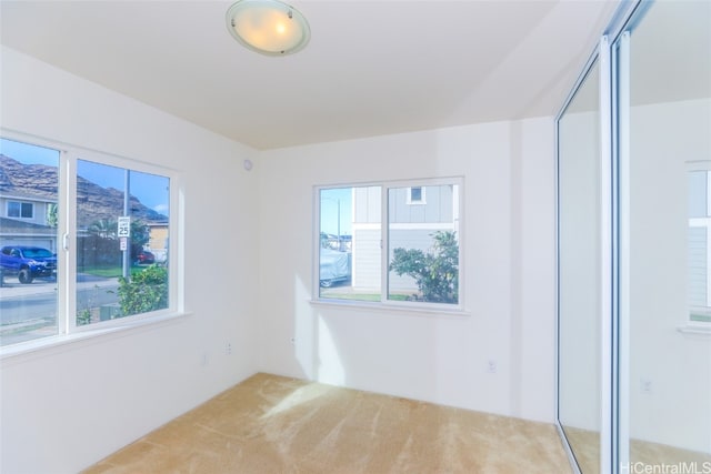 empty room featuring carpet and plenty of natural light