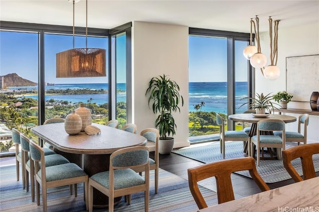 dining space with a water view, floor to ceiling windows, and hardwood / wood-style flooring