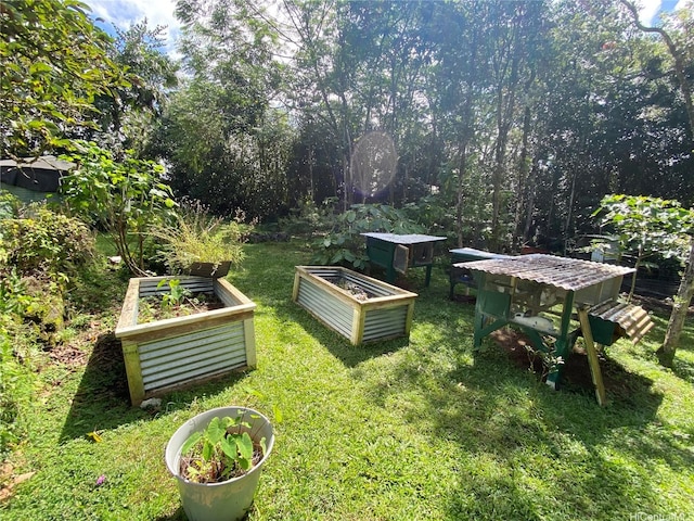 view of green lawn featuring a garden
