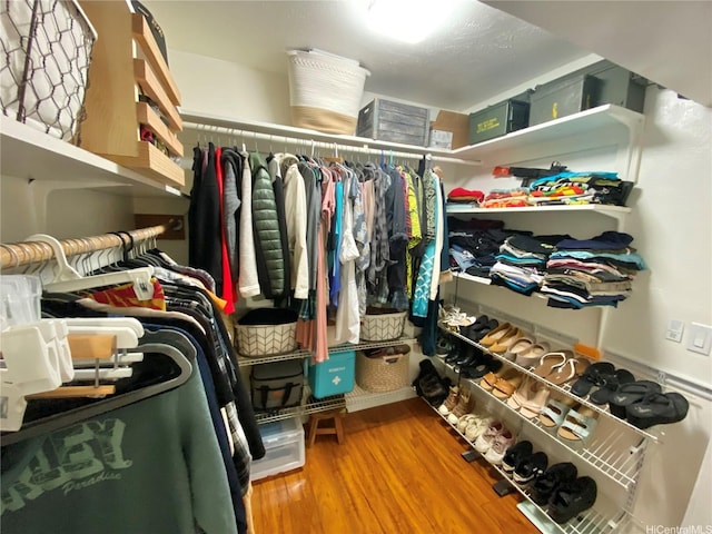 walk in closet featuring wood finished floors