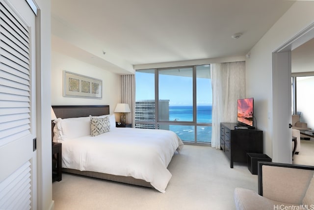 bedroom featuring light carpet, multiple windows, and access to exterior