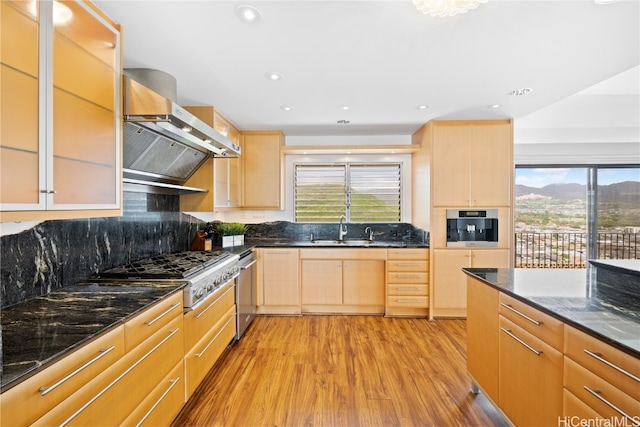 kitchen featuring extractor fan, light brown cabinets, sink, and a healthy amount of sunlight