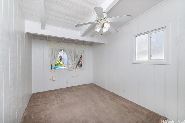 carpeted spare room with ceiling fan, plenty of natural light, wooden walls, and beam ceiling