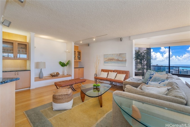 living room featuring a water view, a textured ceiling, and light hardwood / wood-style flooring