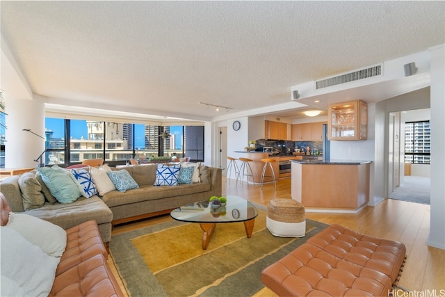 living room with a textured ceiling and light wood-type flooring