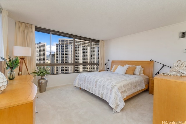 bedroom with a wall of windows and carpet