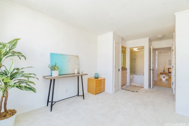 interior space featuring light carpet and a textured ceiling