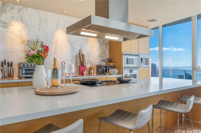 kitchen with range hood, a water view, a breakfast bar area, and stainless steel appliances