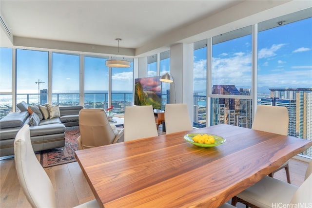 dining room with light hardwood / wood-style flooring