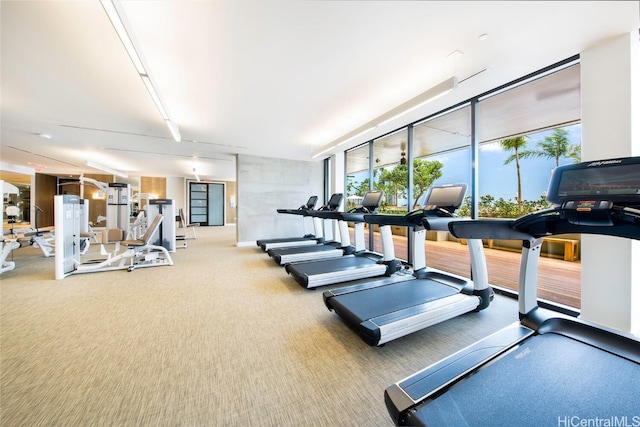 exercise room featuring carpet