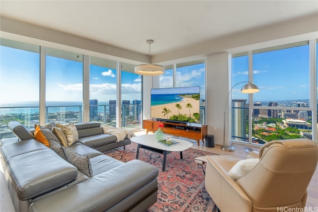 living room featuring hardwood / wood-style floors and plenty of natural light