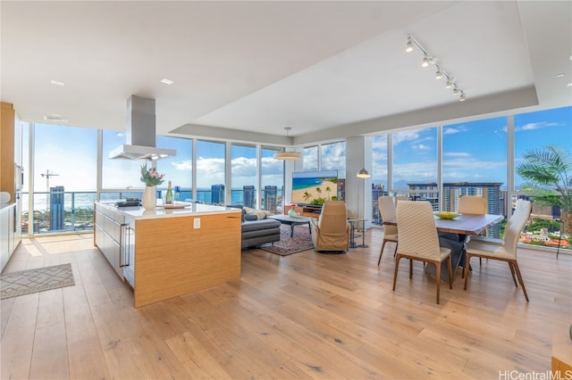 kitchen featuring wall chimney range hood, a healthy amount of sunlight, and light hardwood / wood-style flooring